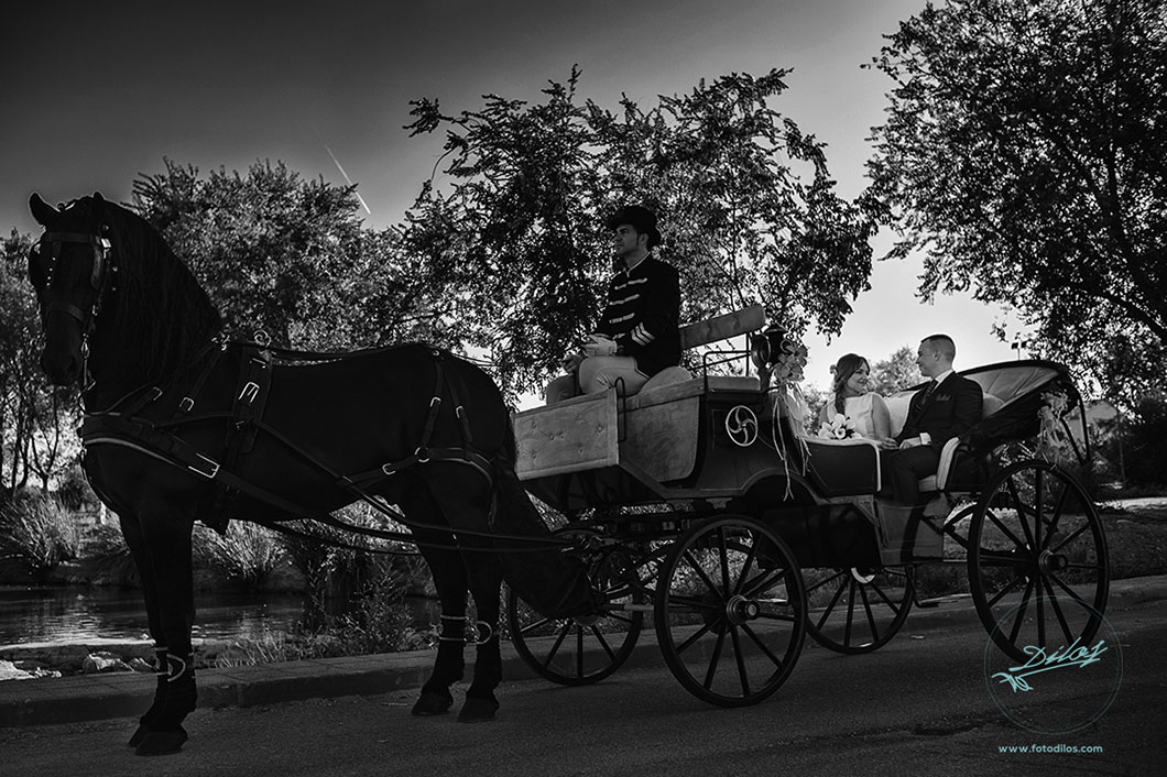 Boda en Finca el Retamar